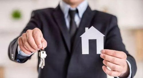 中國房地產(chǎn)代理行業(yè)的發(fā)展歷程與信息咨詢服務(wù)的演進